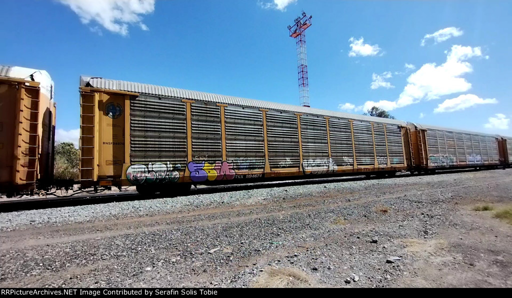 BNSF 24570 TTGX 994674 Con Grafiti 